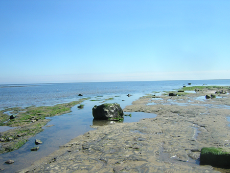 A picture of Redcar Rocks